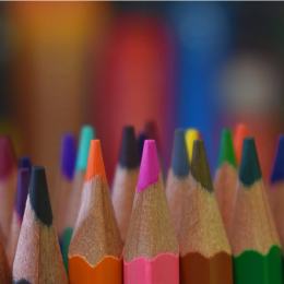 Family Activity Day: Feathered Friends
