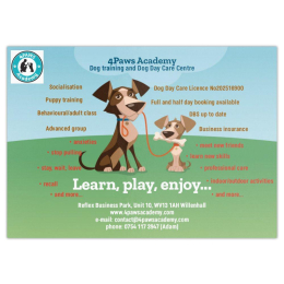 Doggy Day Care Now Open at 4 Paws Academy, Willenhall Walsall