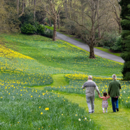 February Half-Term at Waddesdon Manor