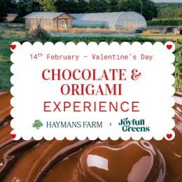 Valentine’s Day - Half-Day Chocolate & Origami Experience for Two