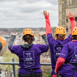 Norwich Abseil 2026