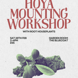 ROOT Houseplants: Hoya Mounting Workshop
