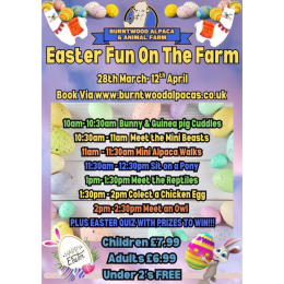 Easter Fun at Burntwood Alpaca & Animal Farm! 🐰🌸