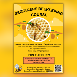 Beginners Beekeeping Course, Blackburn