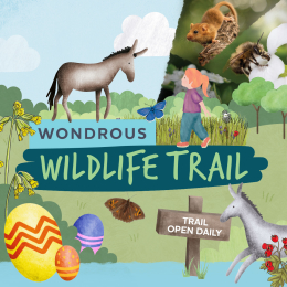 Wonderous Wildlife Easter Trail 