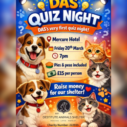 Destitute Animals Shelter Quiz Night