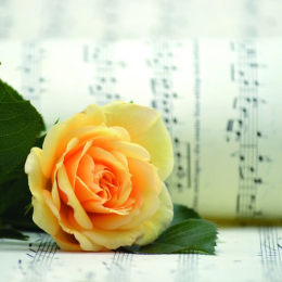 Opera in the Great Hall