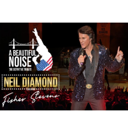 It’s A Beautiful Noise with Fisher Stevens