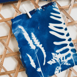 Cyanotype Printmaking: Botanical Postcards 