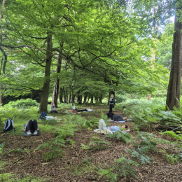 Forest Bathing 