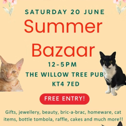 Ginger Cat House Rescue Summer Bazaar 2026