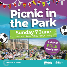 Picnic in the Park 2026