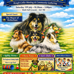 Collie Chaos 2026