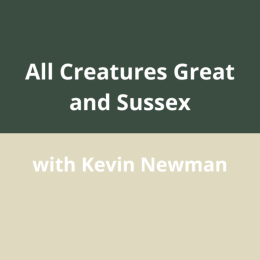 All Creatures Great & Sussex – A Family Talk on Animals from Sussex’s Past