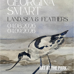'Land, Sea and Feathers' an exhibition by Georgina Smart