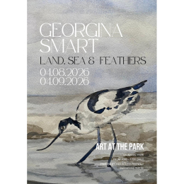 'Land, Sea and Feathers' an exhibition by Georgina Smart
