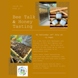 🐝🍯 FREE Bee Talk & Honey Tasting at Buzzards Valley! 🍯🐝