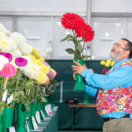 National Dahlia Society Show