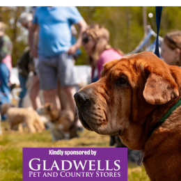 Martlesham Open Day & Fun Dog Show