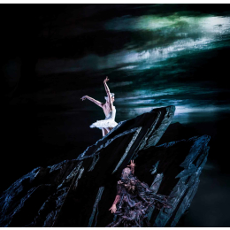 RBO: Swan Lake