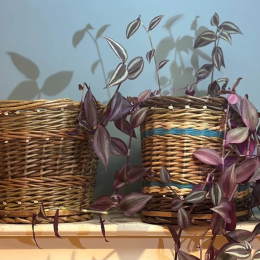 Make a willow planter