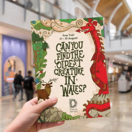St David’s Cardiff to host storytelling trail and workshops with Welsh author