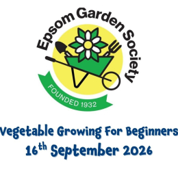 Vegetable Growing for Beginners at Epsom Garden Society