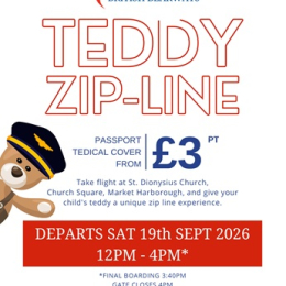 Teddy Zipline