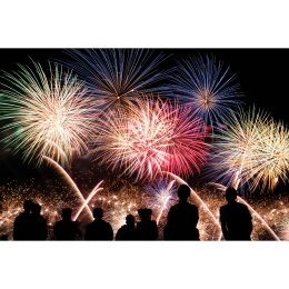 Bomere Heath Bonfire Night 2026