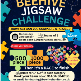 The Great Beehive Jigsaw Challenge