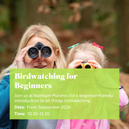 RSPB Rainham Marshes Birdwatching for Beginners