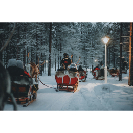 Santa’s New Sleigh comes to Theatre Severn this Christmas