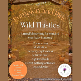 🍂 Pumpkin & Pine at Buzzards Valley 🍂