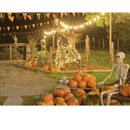 Pumpkin Party Night At West Lodge