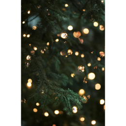 Shrewsbury Christmas Lights Switch-On 2026