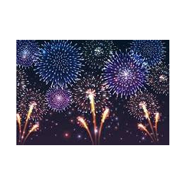 Wyvern Firework Display