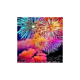 Oak Manor Firework Display & Disco
