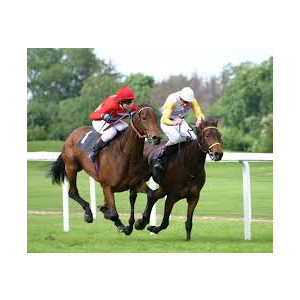 National Hunt Racing at Taunton Racecourse