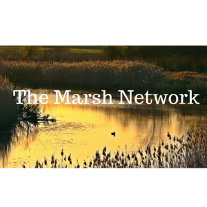 The Marsh Network 