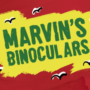 MARVIN'S BINOCULARS - UNICORN THEATRE 