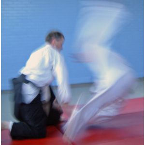 White Oak Aikido Reading