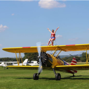 Wing Walk for St Barnabas House