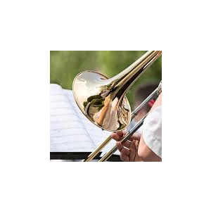 Bands in the Park - Somersham Town Band