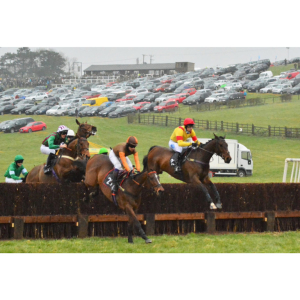 Dingley Races - Point To Point