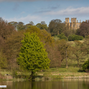 Walk for Parkinson's - Hardwick Hall - Saturday 2nd July - 4:30pm