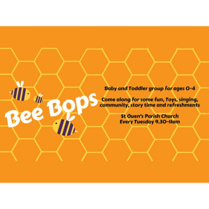 Bee Bops Baby and Toddler Group