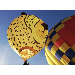 Oswestry Balloon Carnival 2022