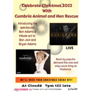 Christmas with Cumbria Animal & Hen Rescue