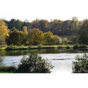 Life at the Lake- Herts and Middlesex Wildlife Trust