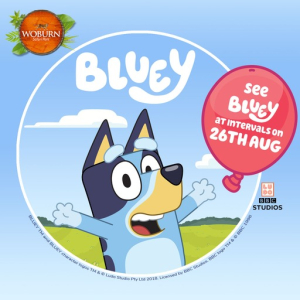 Come and see Bluey